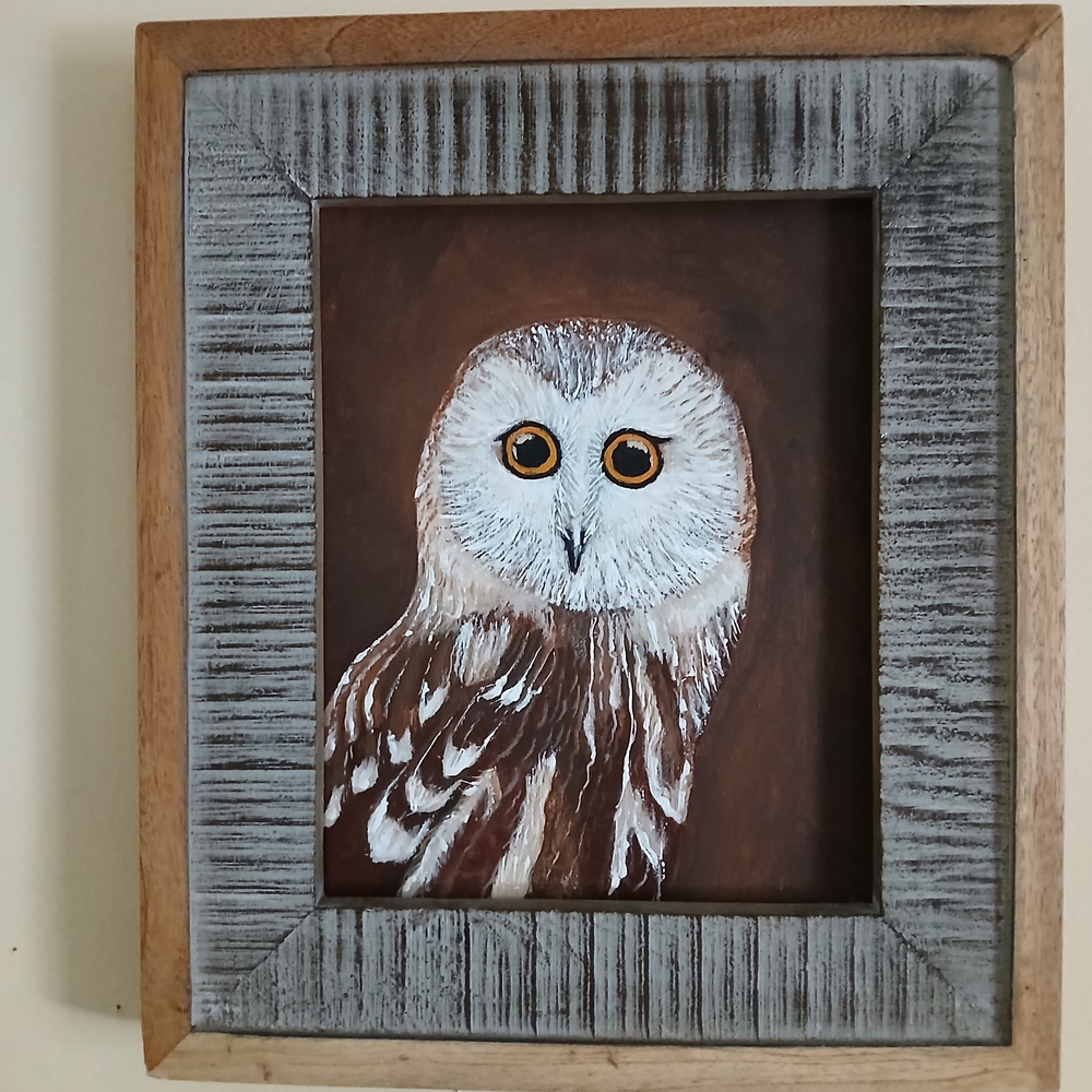 Hand-Painted Brown and White Owl Wall Art